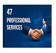 Website design and SEO solutions for Professional Services industry